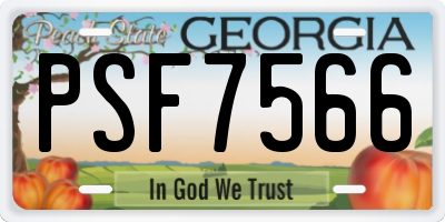 GA license plate PSF7566