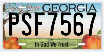 GA license plate PSF7567