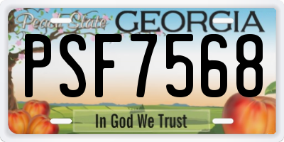GA license plate PSF7568