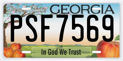 GA license plate PSF7569