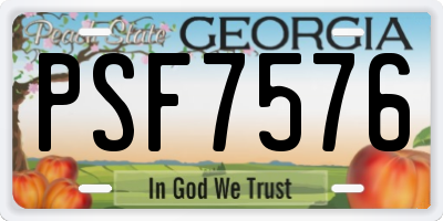 GA license plate PSF7576