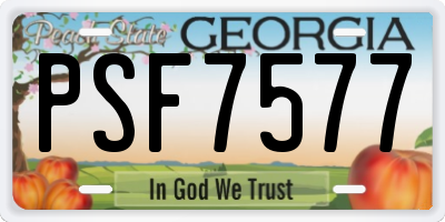 GA license plate PSF7577