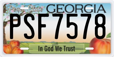 GA license plate PSF7578