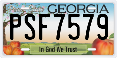 GA license plate PSF7579