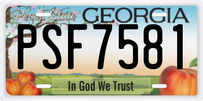 GA license plate PSF7581