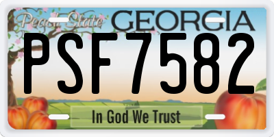 GA license plate PSF7582