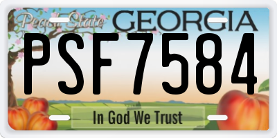 GA license plate PSF7584