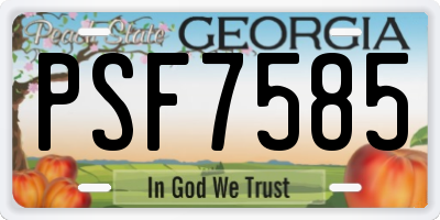 GA license plate PSF7585