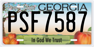 GA license plate PSF7587