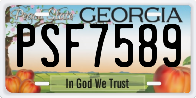 GA license plate PSF7589