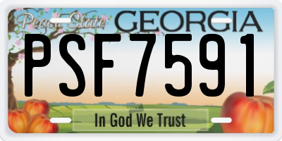GA license plate PSF7591