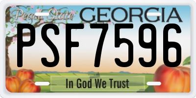 GA license plate PSF7596