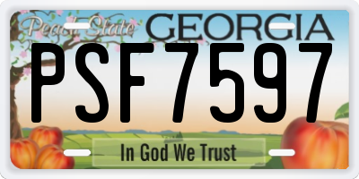 GA license plate PSF7597
