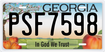 GA license plate PSF7598