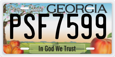 GA license plate PSF7599