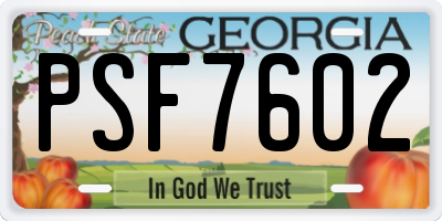 GA license plate PSF7602