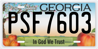 GA license plate PSF7603