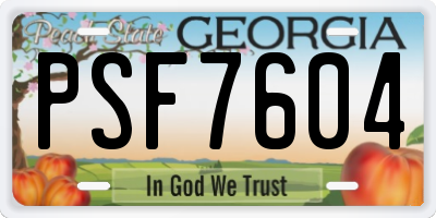 GA license plate PSF7604