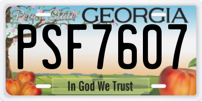 GA license plate PSF7607