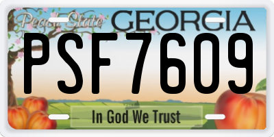 GA license plate PSF7609