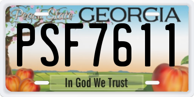 GA license plate PSF7611