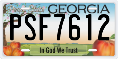 GA license plate PSF7612