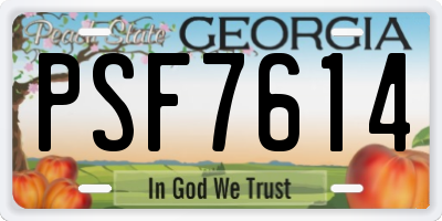 GA license plate PSF7614