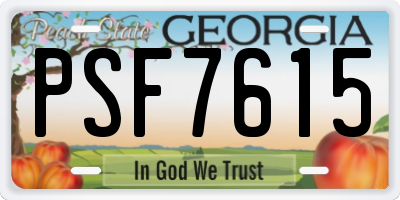 GA license plate PSF7615