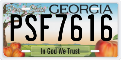 GA license plate PSF7616