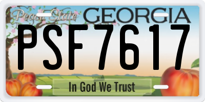 GA license plate PSF7617