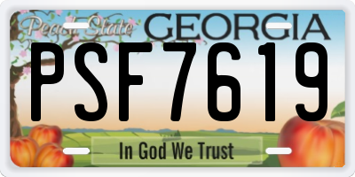 GA license plate PSF7619
