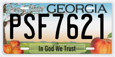 GA license plate PSF7621