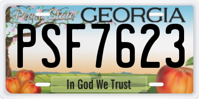 GA license plate PSF7623