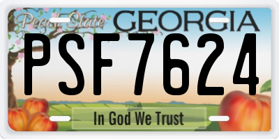 GA license plate PSF7624