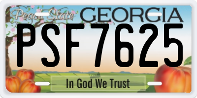 GA license plate PSF7625