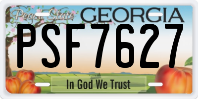 GA license plate PSF7627