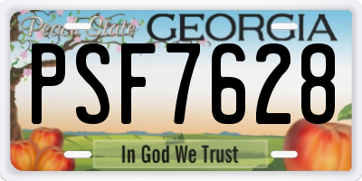 GA license plate PSF7628