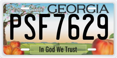 GA license plate PSF7629