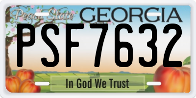 GA license plate PSF7632
