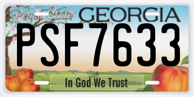 GA license plate PSF7633