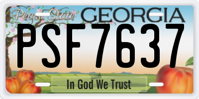 GA license plate PSF7637