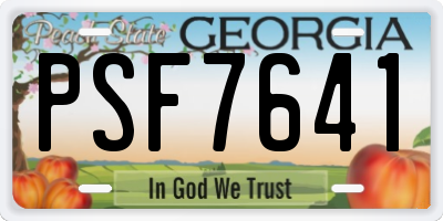 GA license plate PSF7641