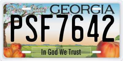 GA license plate PSF7642