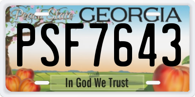 GA license plate PSF7643