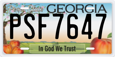 GA license plate PSF7647