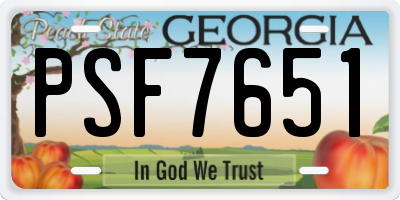 GA license plate PSF7651