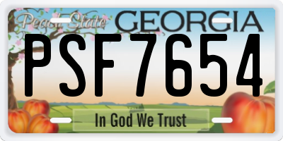 GA license plate PSF7654