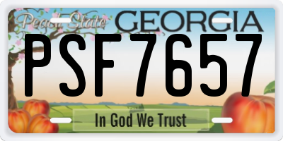 GA license plate PSF7657
