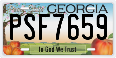 GA license plate PSF7659