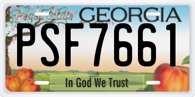 GA license plate PSF7661